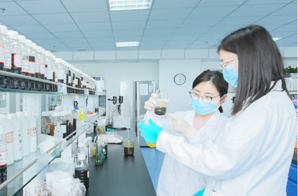 荷皇生物实验室技术人员协作开展研发实验